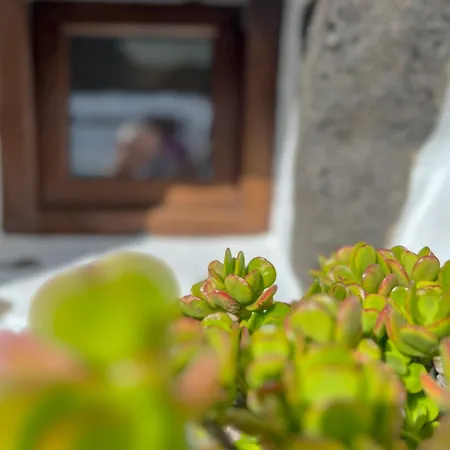El Rincon De Aljibes Casa vacanze *